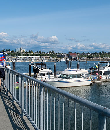 Jetty Island