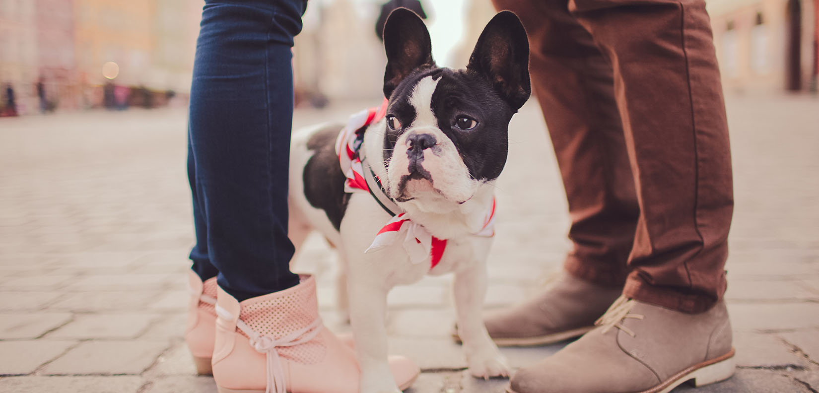 couple with dog